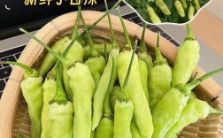 云南细辣椒有哪些品种？