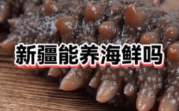 新疆海鲜批发市场最新价格是多少？