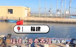 育苗室海参苗养殖技术要点有哪些？