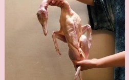 皮囊发酵养鸭，环保技术如何落地？