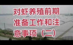 2025养殖对虾技术有哪些新突破？