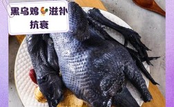 哪里能学到正宗的乌鸡养殖技术？