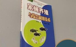 家蝇养殖如何变废为宝，实现高效综合利用？