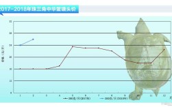 甲鱼价格现在啥走势？未来会涨还是跌？