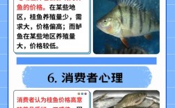 鳜鱼批发价全国差异有多大？