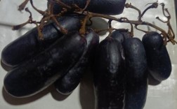 黑色长葡萄是何品种？