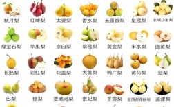 水果品种大全图片有哪些常见种类？