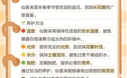 仙客来养护技术有哪些关键要点？