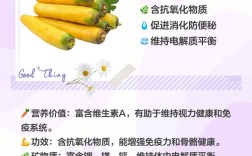 种植胡萝卜品种可选择