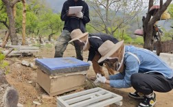 农广天地养蜂技术视频怎么学？