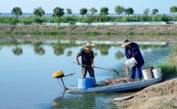 北方养河蟹，关键技术有哪些？