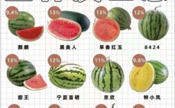 哪些西瓜品种更优质高产？