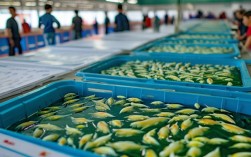 连云港特色水产养殖项目，连云港特色水产养殖项目招标