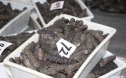 海参育苗波纹板价格多少？