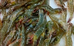 明虾养殖技术视频有哪些关键要点？