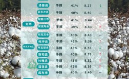 新疆今年棉花价格会涨还是跌？