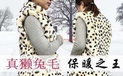 2025獭兔肉最新价格多少钱一斤？