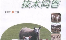 农区养羊有哪些关键技术？