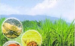 稻田养鱼虾蟹蛙贝技术如何高效共生？