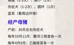 养猪技术教程大全母猪