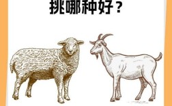 想了解所有羊品种及图片吗？