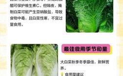 白菜种植技术如何？病虫害咋防治？