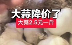 全国大蒜价格最新报价多少？