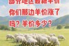 2025活羊价格多少钱一斤？