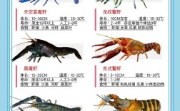 水产养殖品种选育有哪些关键方向？