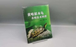 黄喉拟水龟养殖技术要点有哪些？
