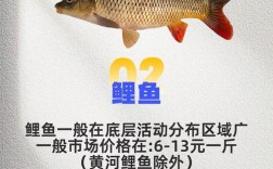 洪湖红叶水产白鲢价格现在多少钱？
