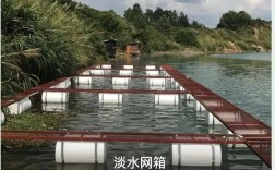 网箱养泥鳅视频技术要点有哪些？