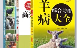 羊病防治关键点有哪些？