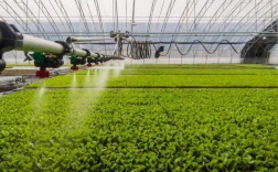 想找农业种植技术视频，去哪里看最全？