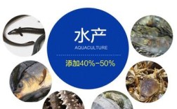 鳗鱼饲料鱼粉品种有何差异与选择要点？