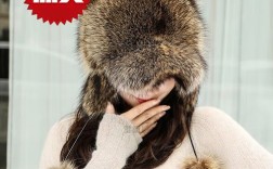 2025美州貉最新价格是多少？