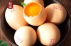济宁泗水鸡蛋今日价格多少钱一斤？