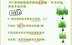 哪些牧草品种优质又高产？