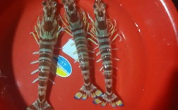 池塘养花虾，最新技术如何成功？