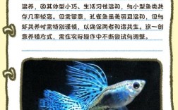 虾鳅混养技术视频要点有哪些？