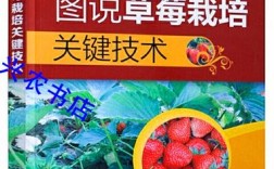 大棚草莓种植管理技术有哪些要点？