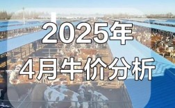 2025年肉牛价格会涨还是跌？