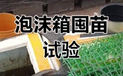 黄鳝箱式养殖新技术箱式有何优势？