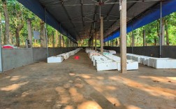 农广天地养殖技术视频有哪些干货？