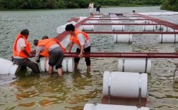 网箱养草鱼技术视频，新手怎么学？