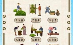 茶叶种植技术视频教程哪里看？