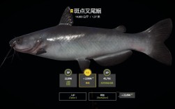 2025斑点叉尾鮰价格会涨还是跌？