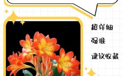 君子兰品种如何快速分辨？