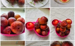 最耐放的无花果品种