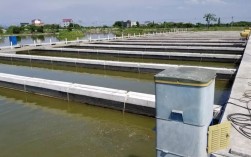 跑道养鱼技术发明者是谁？